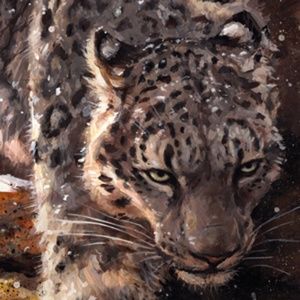 Meet your Posher, Joran